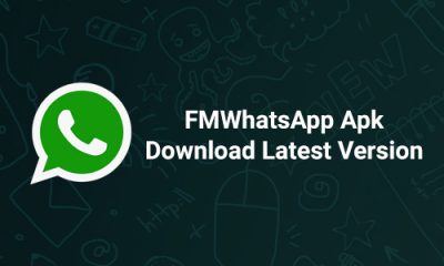 FMWhatsApp Apk Download Latest Version 10.35 For Android