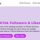TikFuel: A cheap and easy way to get tons of followers and likes on your tikTok account!