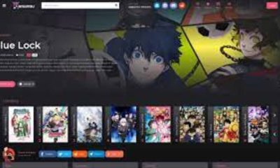 GoGoAnime: An Online Anime Streaming Hub