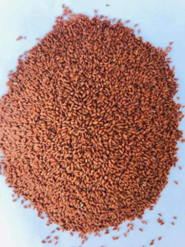 herbanuts aliv seeds great source of iron 300 g product images orv6ynjefbi p592463925 2 202207090802
