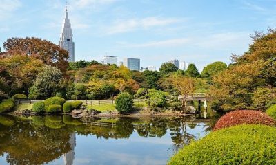 Landscaping Wonders: Transforming Your Outdoor Space