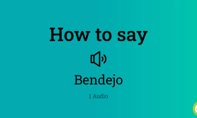 Write an Article About What Does "Bendejo" Mean in Spanish