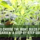 How to Choose the Right Seeds for Your Garden: A 3-Step Guide