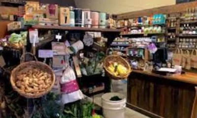 Embracing Wellness: The Green Soul of Greensoul Organics