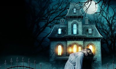 Vvolfie Unveiled: A Comprehensive Guide