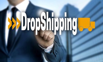 The Rise and Dynamics of Dropshipping: A Lucrative Business Model