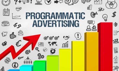 Navigating the Landscape of Digital Advertising: The Role of Programmatic Guaranteed Deals