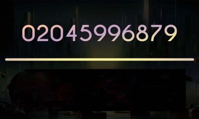 WHO CALLED YOU FROM 02045996879