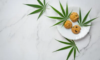 Exploring the Rise of THC Edibles in Modern Wellness Practices