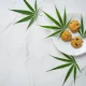 Exploring the Rise of THC Edibles in Modern Wellness Practices 37 Exploring the Rise of THC Edibles in Modern Wellness Practices