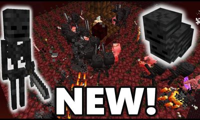 Unveiling the Secrets of ianxofour Wither Skeleton Farm: A Comprehensive Guide
