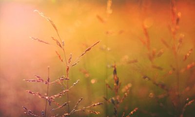 Tips for Updating Your Wardrobe for Warmer Weather