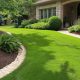 How to Maintain a Healthy and Beautiful Lawn: Best Practices and Tips 28 How to Maintain a Healthy and Beautiful Lawn: Best Practices and Tips