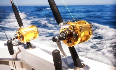 A Guide to the Latest Tech Features in Saltwater Fishing Reels