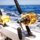 A Guide to the Latest Tech Features in Saltwater Fishing Reels