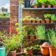 Creating a Thriving Urban Garden: Tips and Techniques