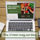 Why the:// Vital-Mag.Net Blog Is Getting Hype