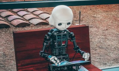 Understanding dynamic pricing and the power of a pricing robot