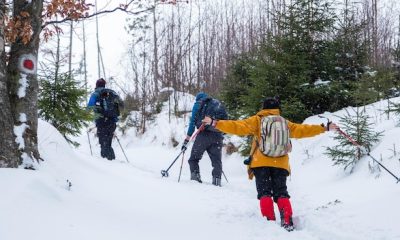 A Snowshoe Tour: One of the Best Ways to Explore Lake Tahoe