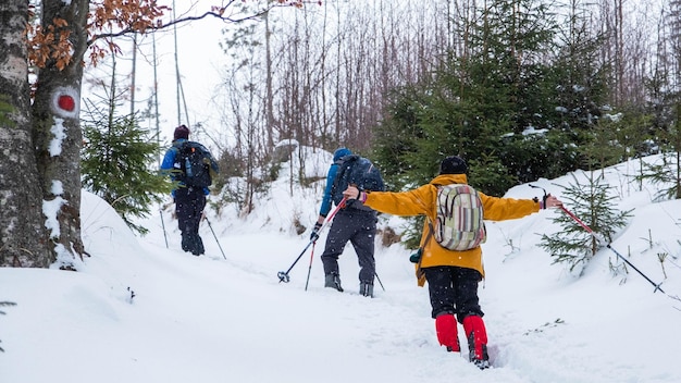 A Snowshoe Tour: One of the Best Ways to Explore Lake Tahoe 25 A Snowshoe Tour: One of the Best Ways to Explore Lake Tahoe