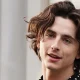 Timothée Chalamet The Rising Star of Hollywood