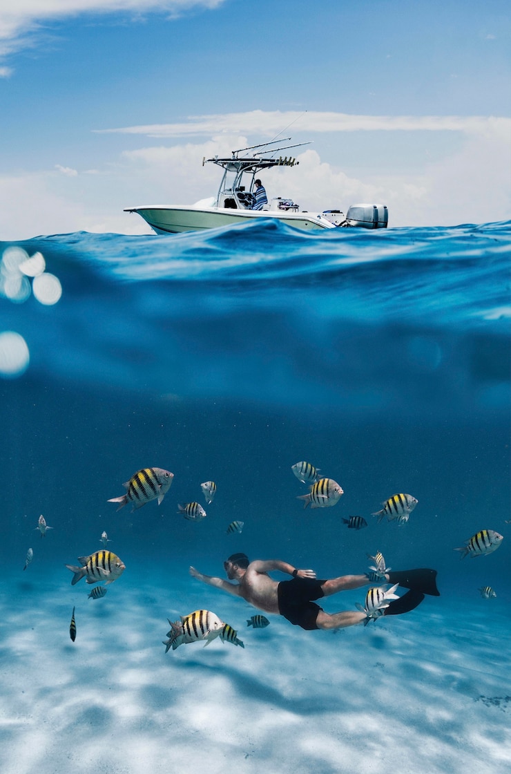 A Guide to Kona’s Best Manta Ray Snorkeling and Diving Excursions 25 A Guide to Kona’s Best Manta Ray Snorkeling and Diving Excursions