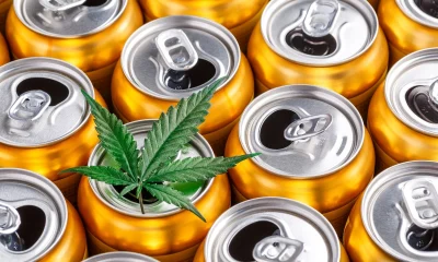 Why Hemp-Infused Spirits Are a Game Changer in the Beverage Industry