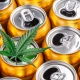 Why Hemp-Infused Spirits Are a Game Changer in the Beverage Industry 27 Why Hemp-Infused Spirits Are a Game Changer in the Beverage Industry