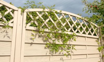 The Rise of Sustainable Fencing Solutions: Benefits and Applications