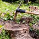 Essential Steps for Safe and Effective Stump Removal at Home