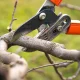 The Essential Guide to Safe and Effective Tree Pruning 37 The Essential Guide to Safe and Effective Tree Pruning