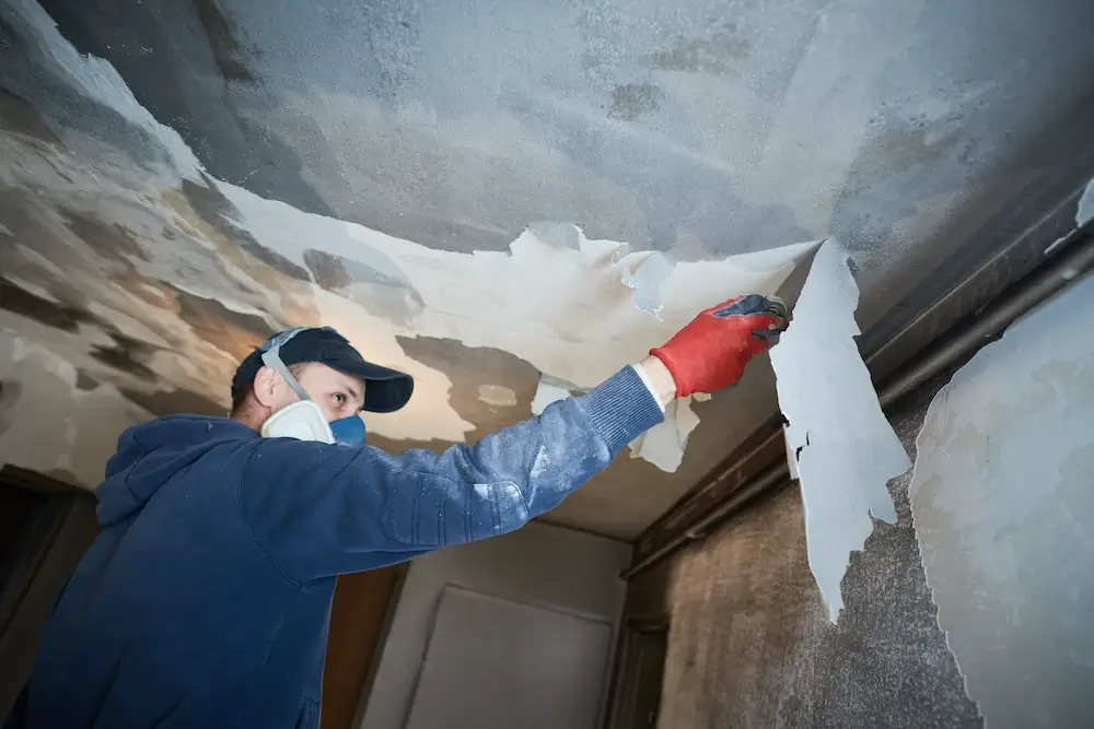The Art of Repair: Techniques for Restoring Fire-Damaged Properties 25 The Art of Repair: Techniques for Restoring Fire-Damaged Properties