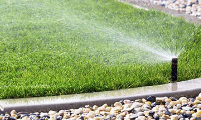 Optimizing Residential Irrigation Systems for Efficiency