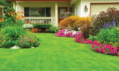 Proven Solutions for Keeping Lawns and Shrubs Lush All Year Round