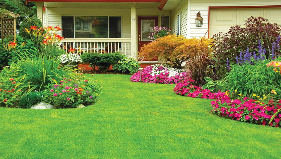 Proven Solutions for Keeping Lawns and Shrubs Lush All Year Round 26 Proven Solutions for Keeping Lawns and Shrubs Lush All Year Round