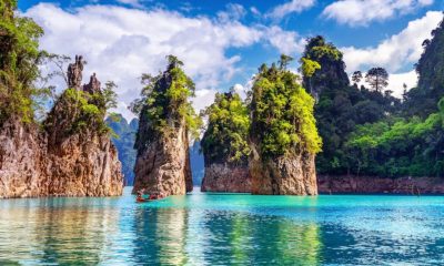 Mannacote: A Comprehensive Guide to Its Uses, Benefits, and Applications