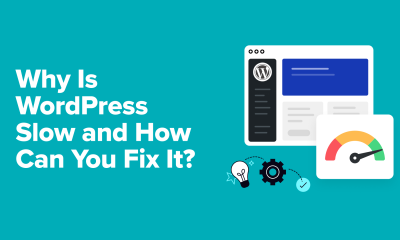 How to Fix a Slow WordPress Website Without Plugins