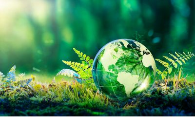 How To Make Sustainable Lifestyle Changes