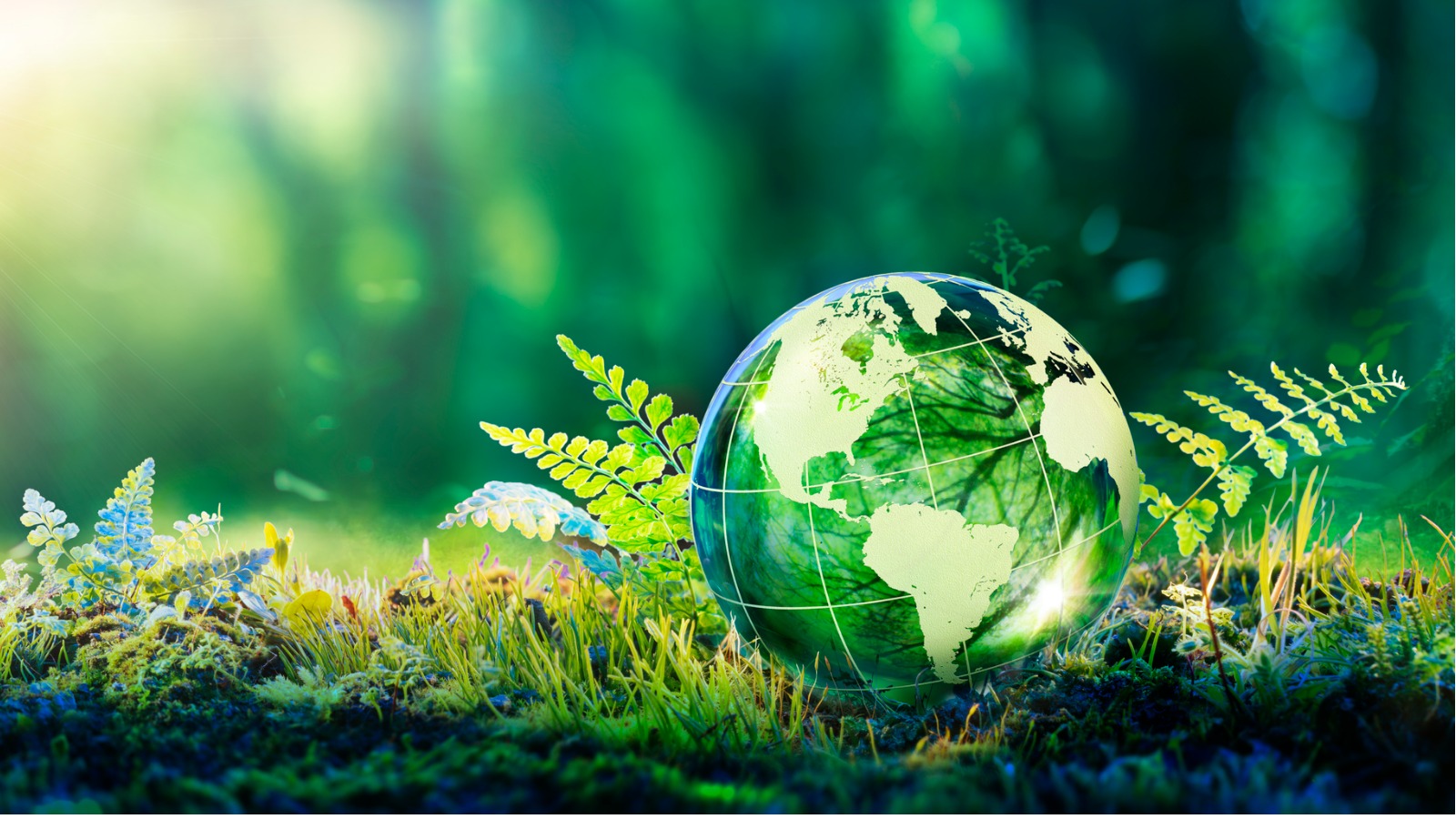 How To Make Sustainable Lifestyle Changes 26 How To Make Sustainable Lifestyle Changes