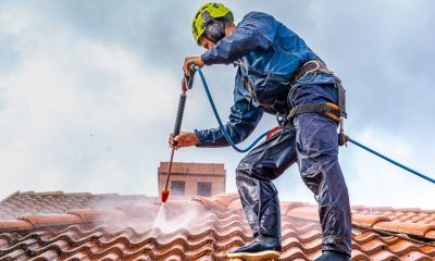 How Roof Cleaning Can Prevent Costly Repairs