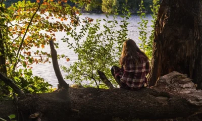 female sitting tree enjoying view with sea 181624 2467