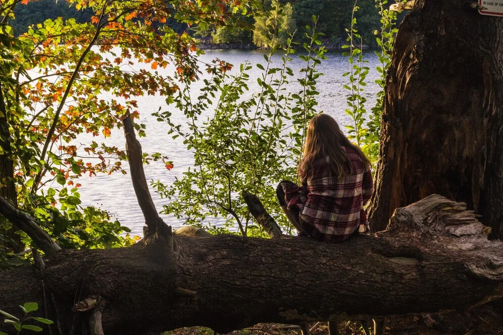 Aurö: A Hidden Scandinavian Gem of Natural Tranquility 26 female sitting tree enjoying view with sea 181624 2467