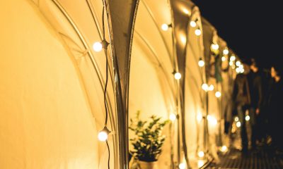 Harnessing the Power of Opinion Edge: How to Stand Out in a Saturated Market