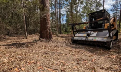How Forestry Mulching Supports Sustainable Land Management