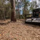 How Forestry Mulching Supports Sustainable Land Management