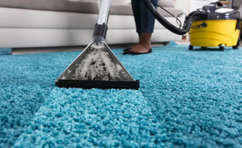 Eco-Friendly Carpet Care Tips for Healthier Homes 26 Eco-Friendly Carpet Care Tips for Healthier Homes