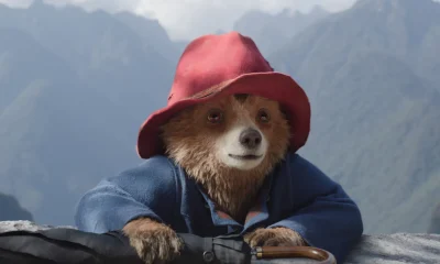 Paddington: The Bear with a Big Heart