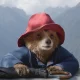 Paddington: The Bear with a Big Heart