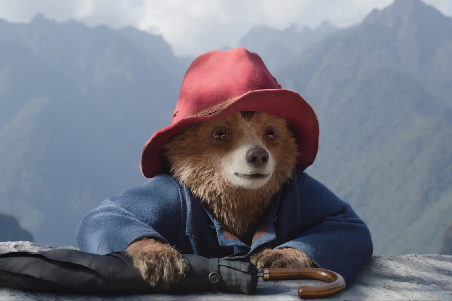 Paddington: The Bear with a Big Heart