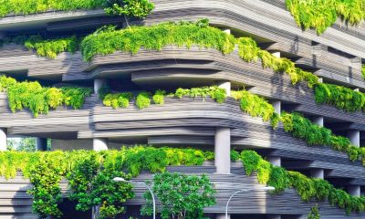 Green Building Trends for Modern Commercial Construction